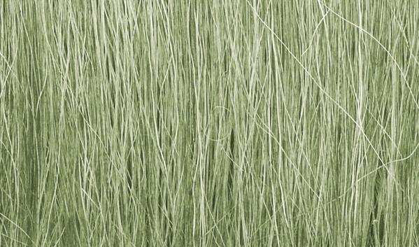 Woodland Scenics: Field Grass - Light Green