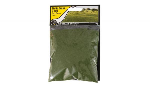 Woodland Scenics: 2mm Static Grass - Dark Green