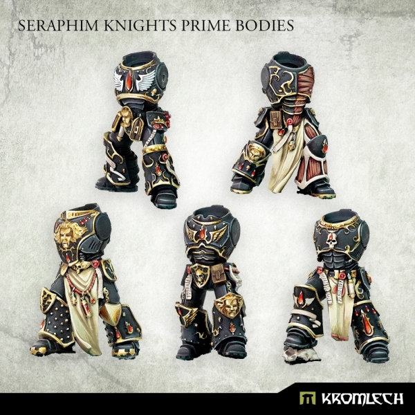 Conversion Bitz: Seraphim Knights Prime Bodies (5)